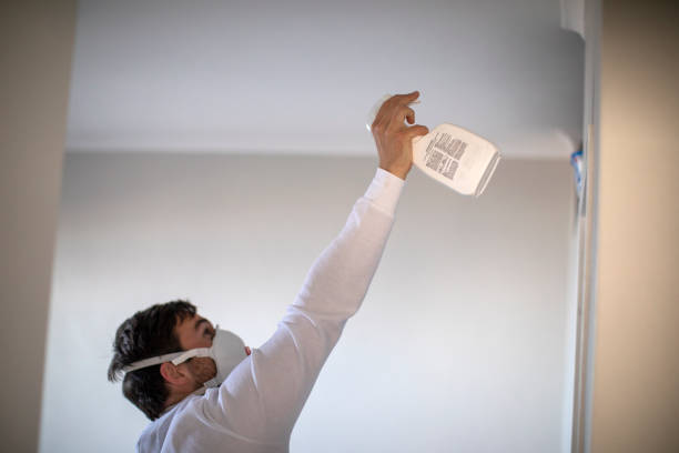 Best Home Mold Removal  in Fort Riley, KS